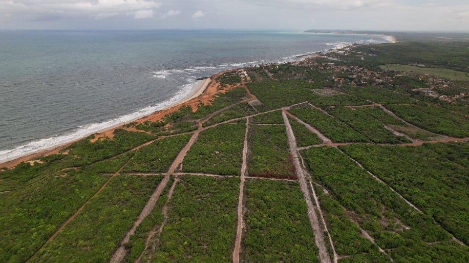 Pipa Beach Luxury Villas